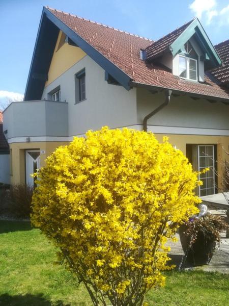 Vronis-Apartment Stephanshart Dış mekan fotoğraf